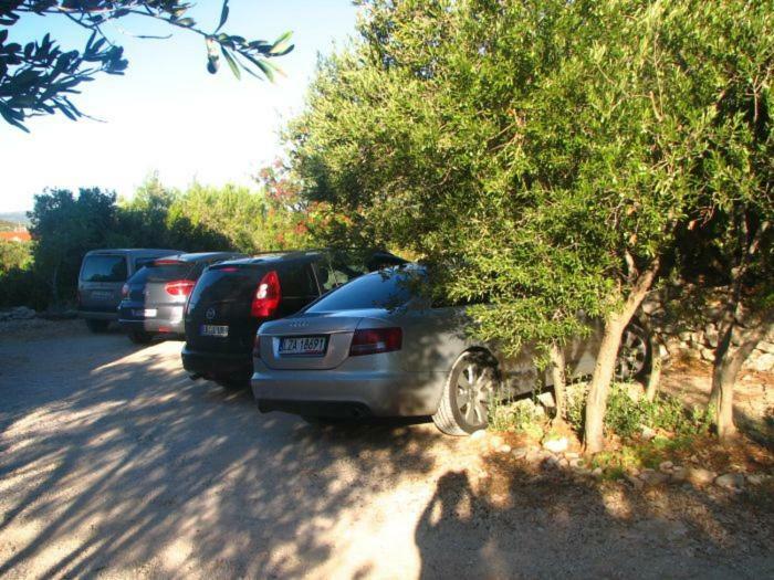 Miro Apartmani Murter Bagian luar foto